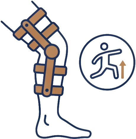 Line illustration of a knee brace and active movement